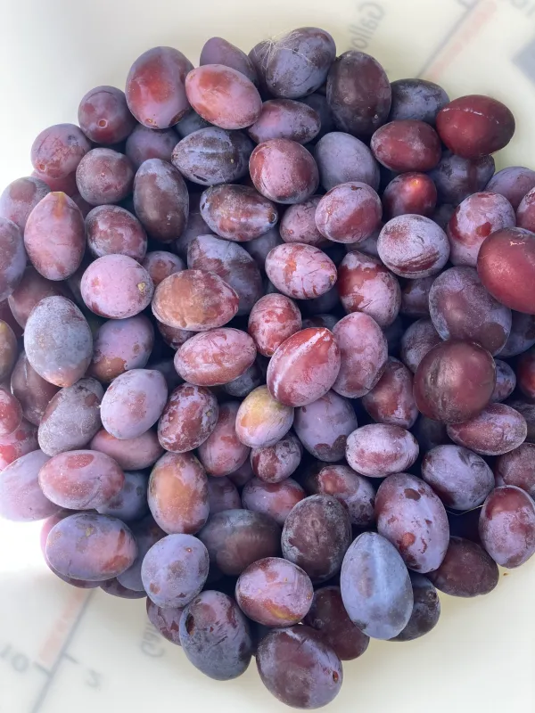 Michelin-level plating and presentation